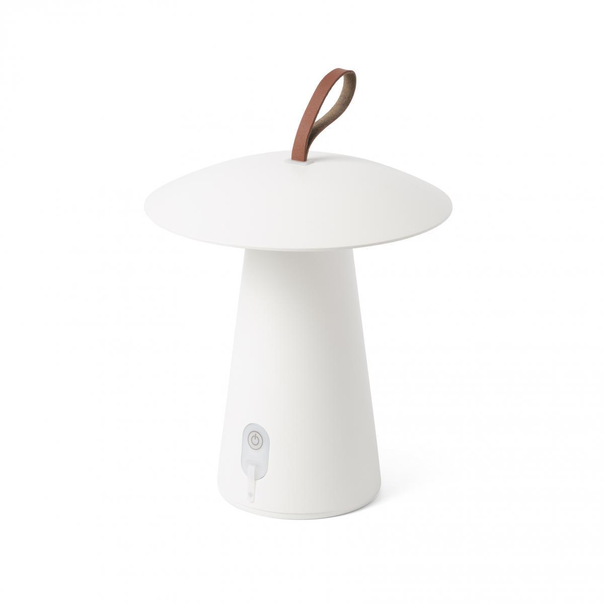 7ccb9cb577934caca4682cd0e9164904