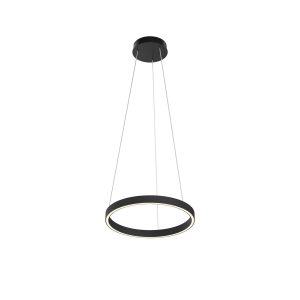 Подвесной светильник Maytoni MOD058PL-L22BK