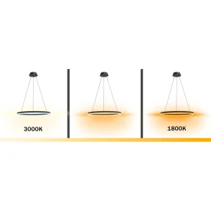 08212,19A(dim to warm) Подвес Тор черный d40