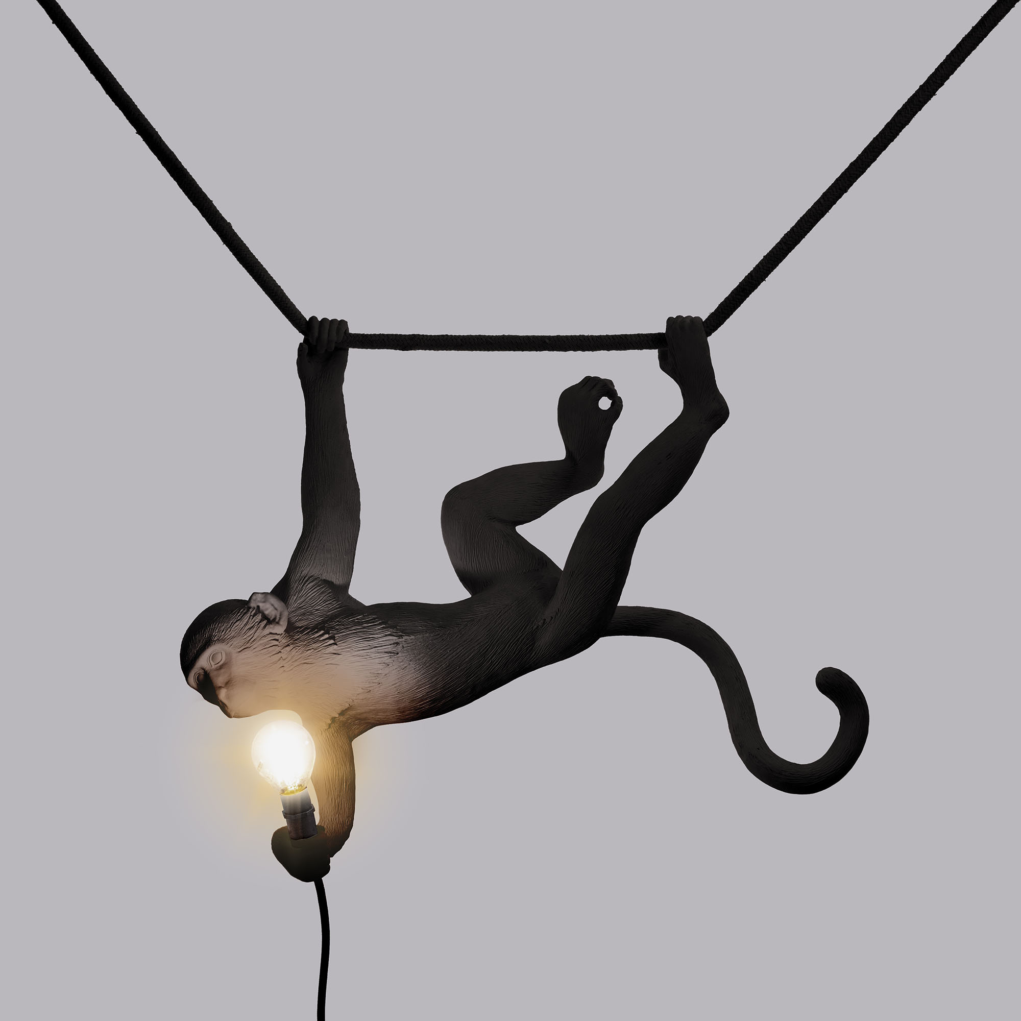 Подвесной светильник The Monkey Lamp Swing Black