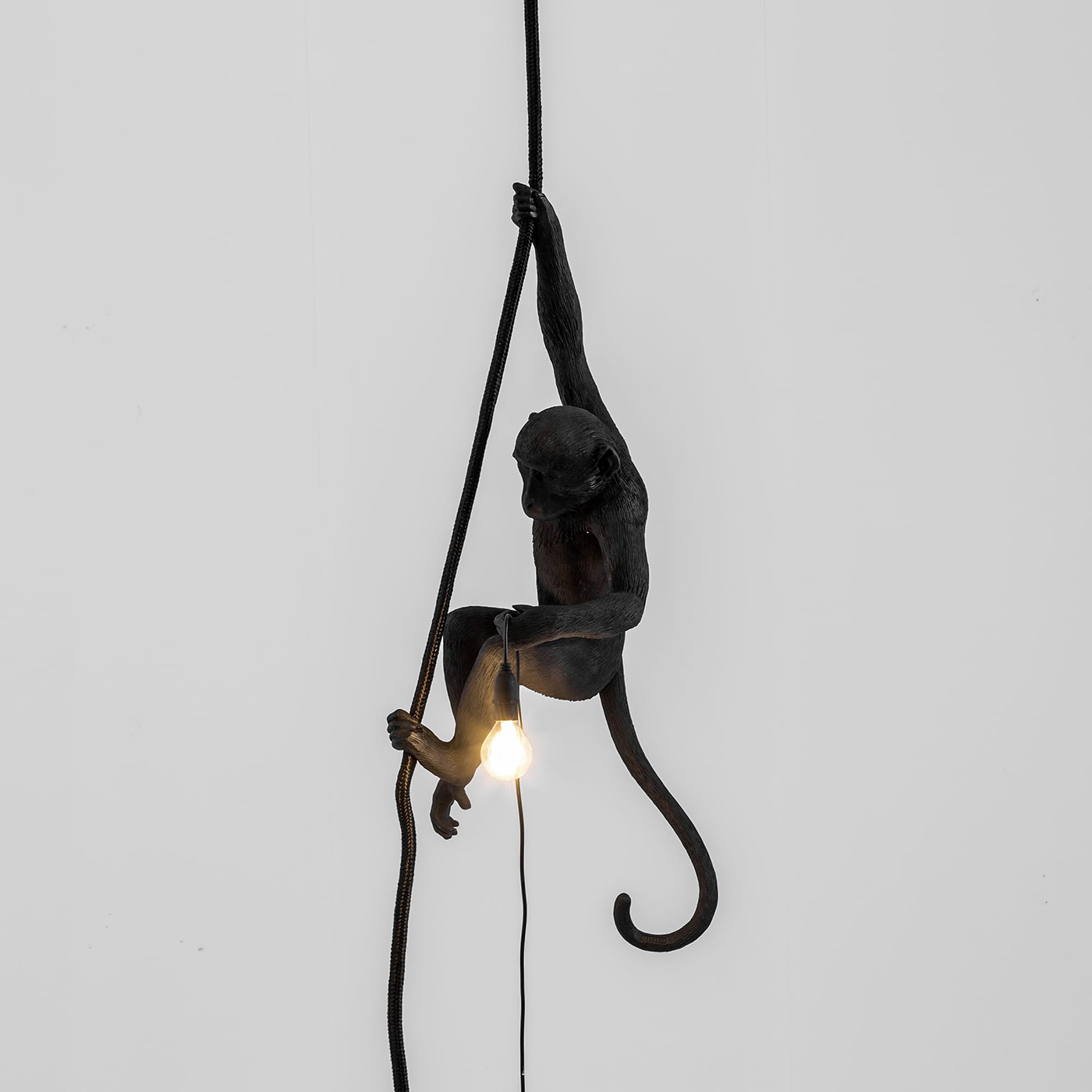 Подвесной светильник Monkey Lamp Ceiling