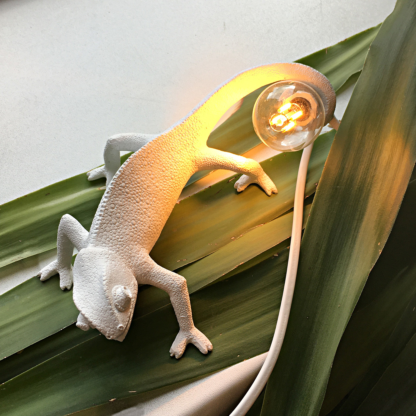 Настенный светильник Chameleon Going Down USB