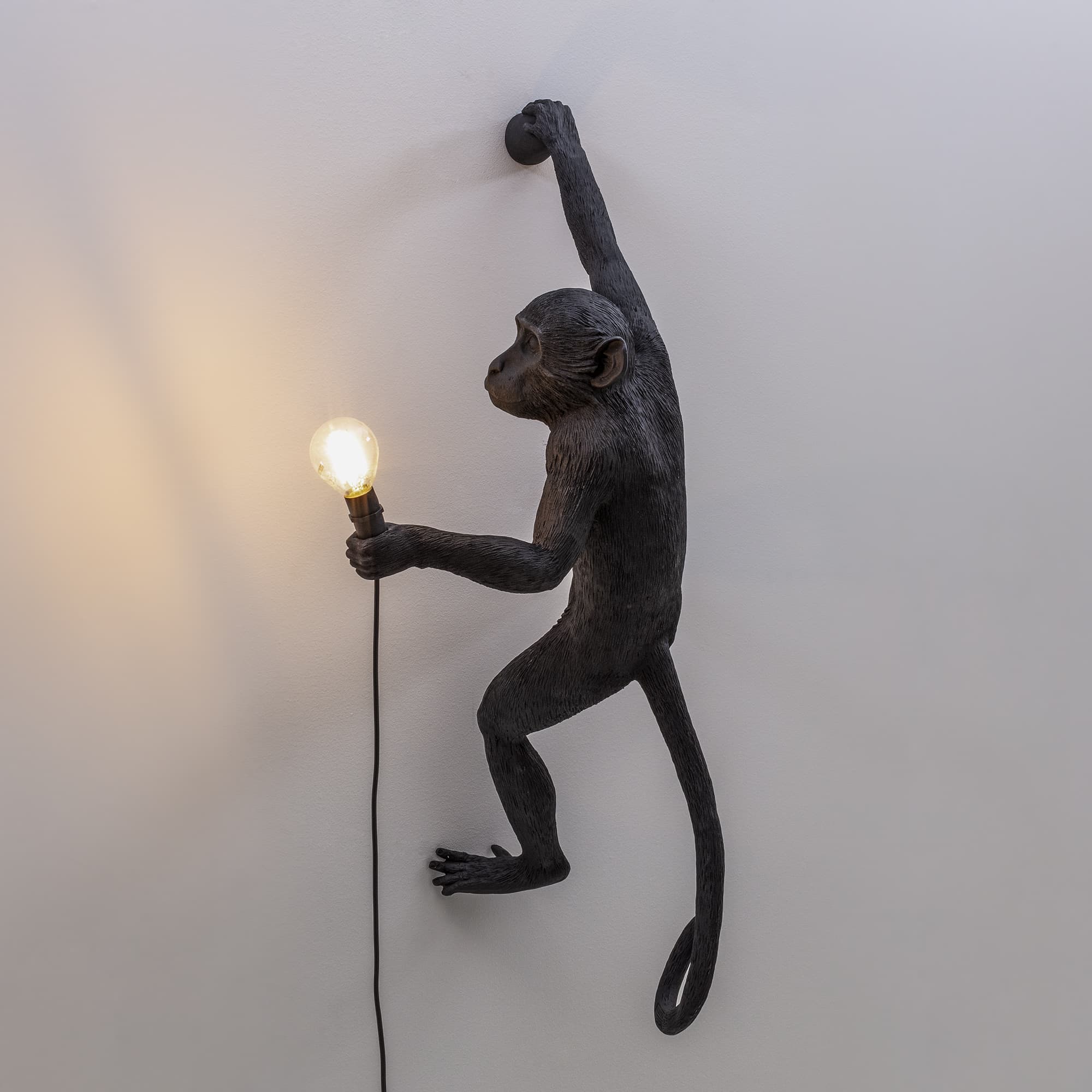 Настенный светильник Monkey Lamp Hanging Right