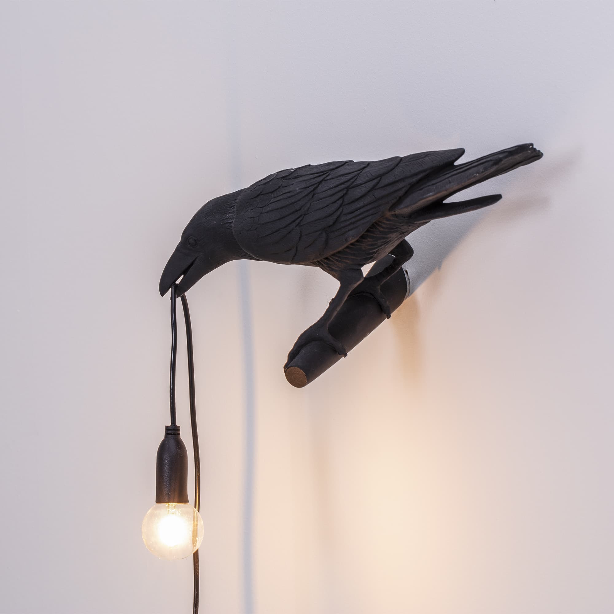 Настенный светильник Bird Black Looking