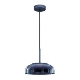 Подвесной светодиодный светильник Loft IT Disk 8210-P Grey