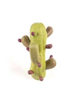 Вешалка Cactus Coloured