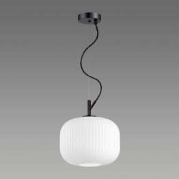 podvesnoy_svetilnik_odeon_light_pendant_roofi_4753_1_1