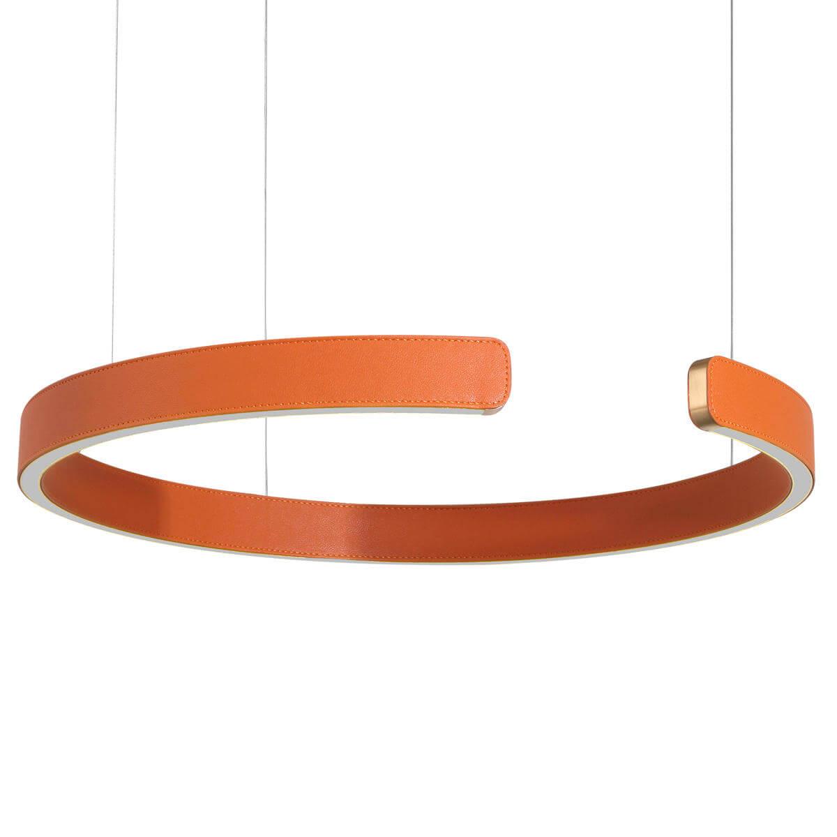 Подвесной светодиодный светильник Loft IT Ring 10025/400 Orange — изображение 2