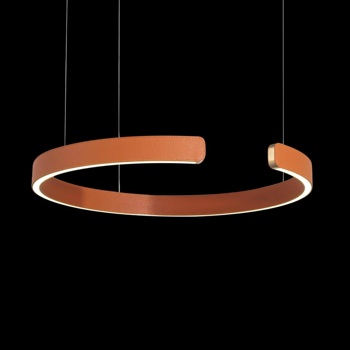 Подвесной светодиодный светильник Loft IT Ring 10025/400 Orange — изображение 3