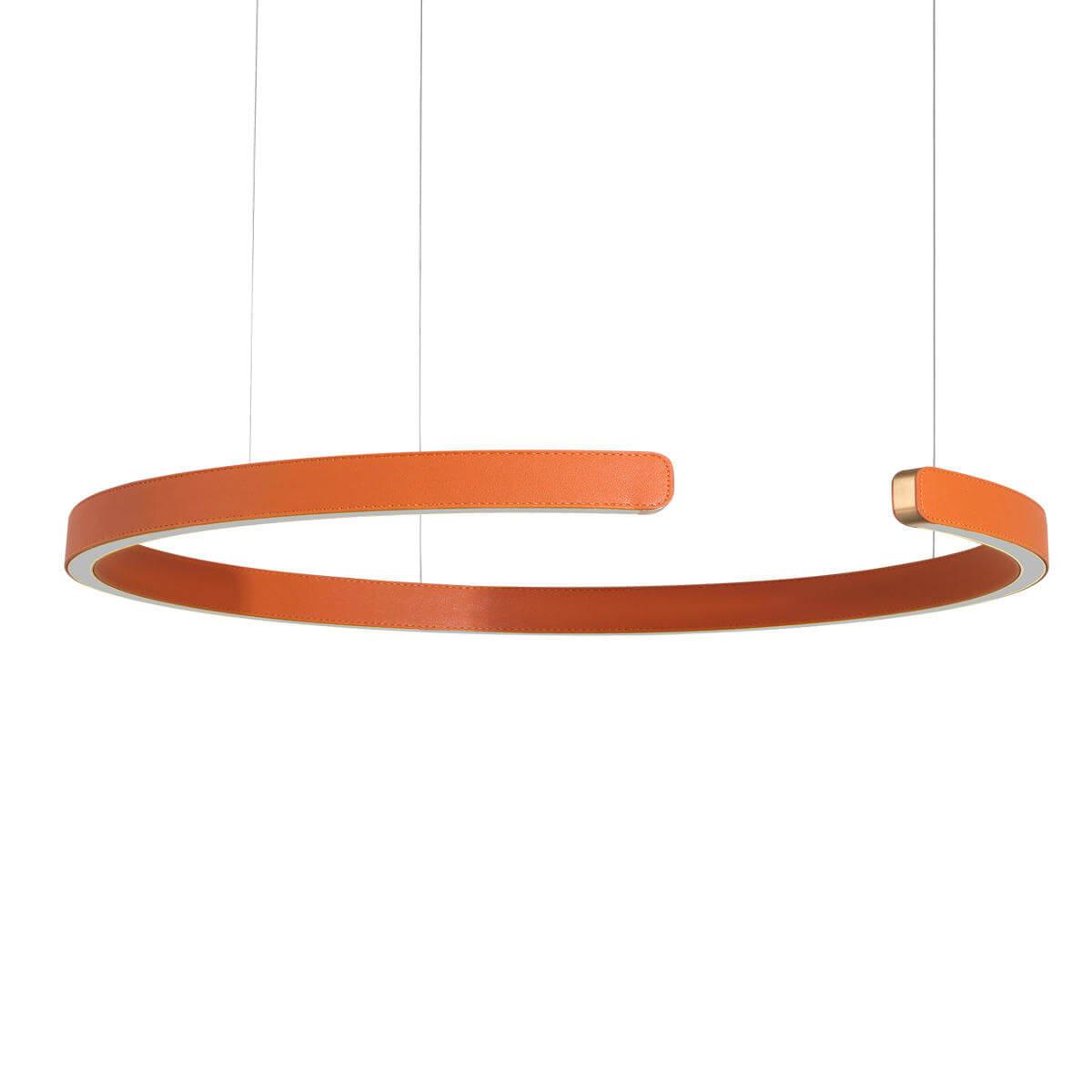 Подвесной светодиодный светильник Loft IT Ring 10025/600 Orange — изображение 2