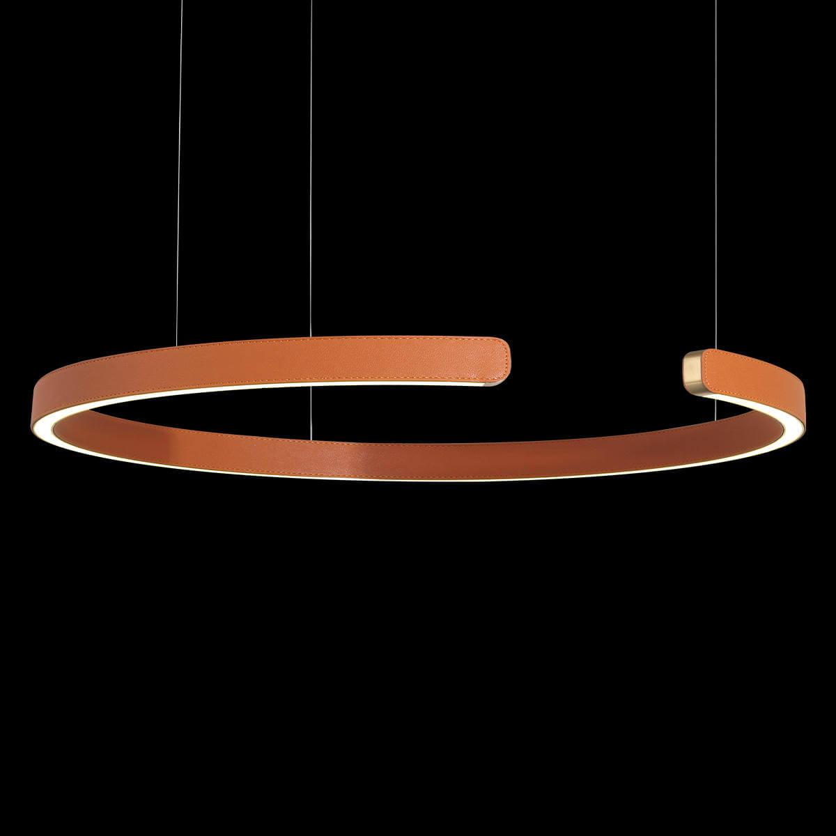 Подвесной светодиодный светильник Loft IT Ring 10025/600 Orange — изображение 3