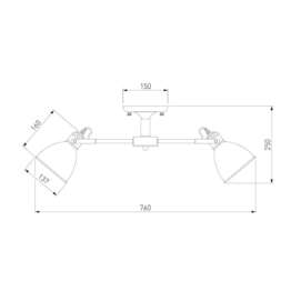 Потолочная люстра Eurosvet Denley 70112/8 черный