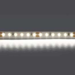 Светодиодная лента Lightstar 12W/m 120LED/m холодный белый 5M 420805