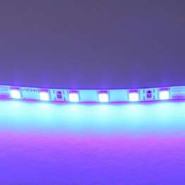 Светодиодная лента Lightstar 12W/m 120LED/m синий 5M 420515