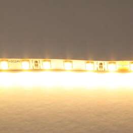 Светодиодная лента Lightstar 12W/m 120LED/m теплый белый 5M 420503