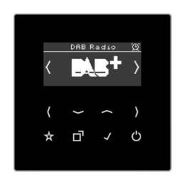 Смарт радио DAB+ с сенсорным нажатием – LS (черный)