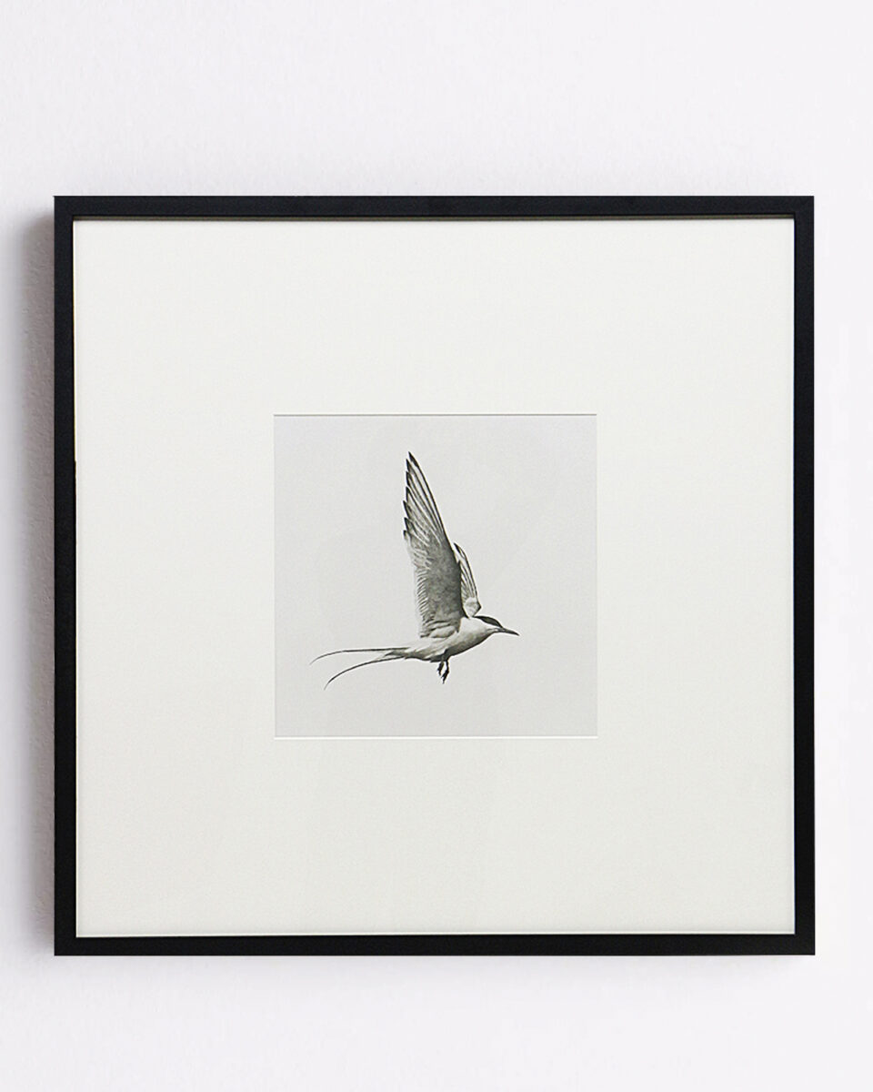 flight-i-960x1200