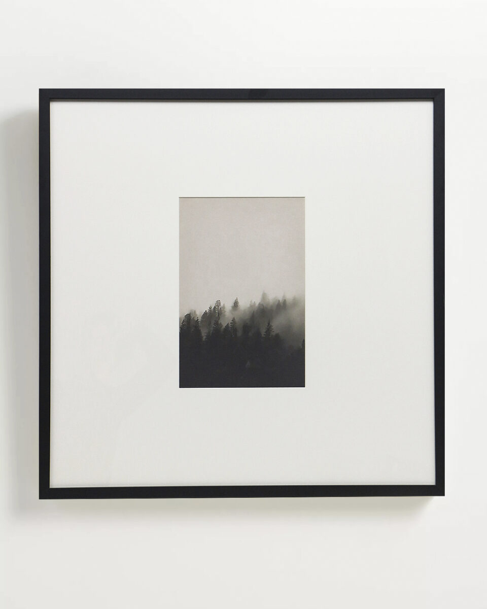 foggy-forest-6-960x1200