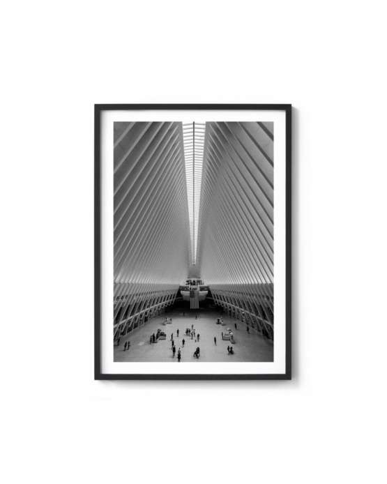 Интерьерный постер “The Oculus”