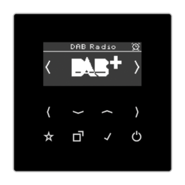 Смарт радио DAB+ с сенсорным нажатием – LS (черный)