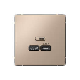 ARTGALLERY USB РОЗЕТКА тип-С 65Вт высокоскор.заряд. QC, PD, механизм, ПЕСОЧНЫЙ