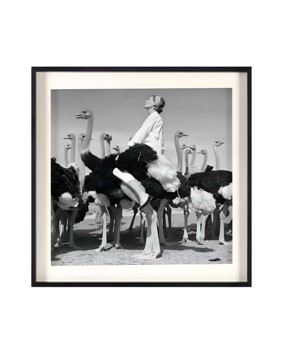 Квадратный постер Wenda Ostriches