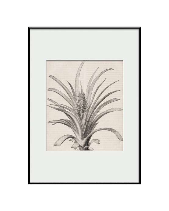 Интерьерное жикле “Pineapple”