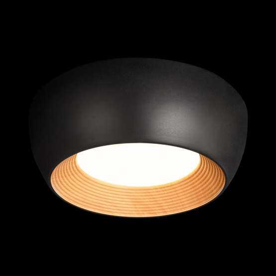 10255/350 Black Потолочный светильник LOFT IT Folk — изображение 2