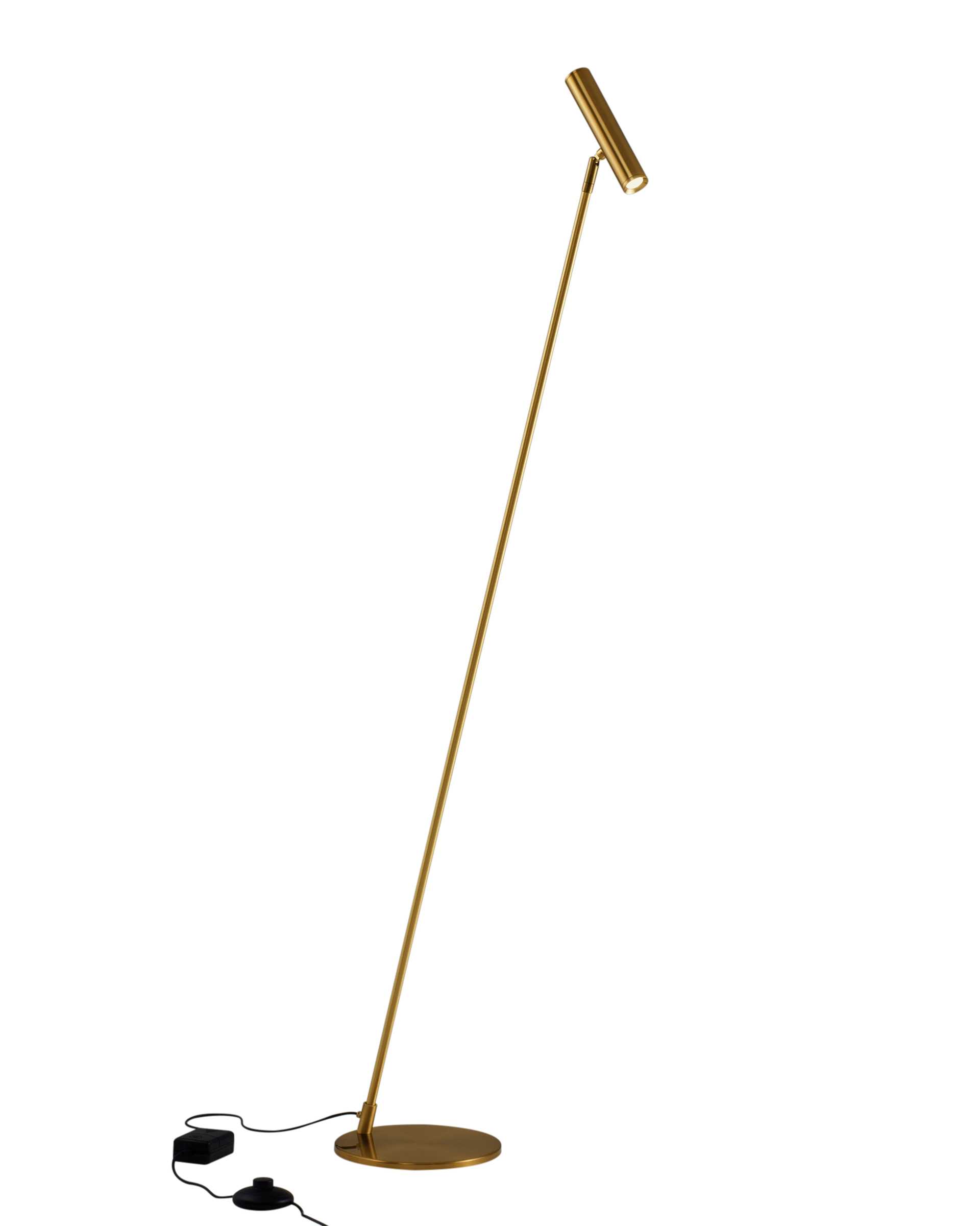 11081