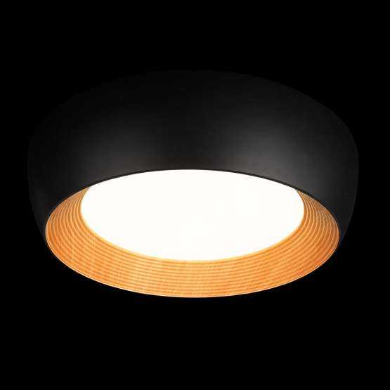 10255/500 Black Потолочный светильник LOFT IT Folk — изображение 2