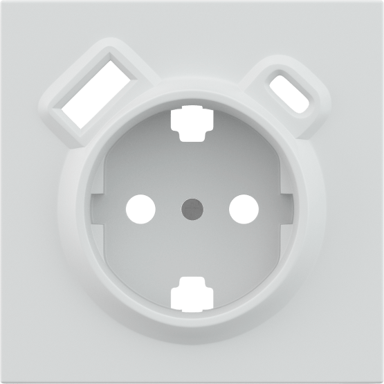 Накладка белый матовый, для розетки Schuko с ЗУ USB A+C, с защитными шторками, серия DA