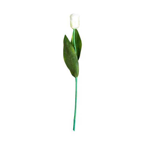 Цветок TULIPAN в белом цвете — изображение 2