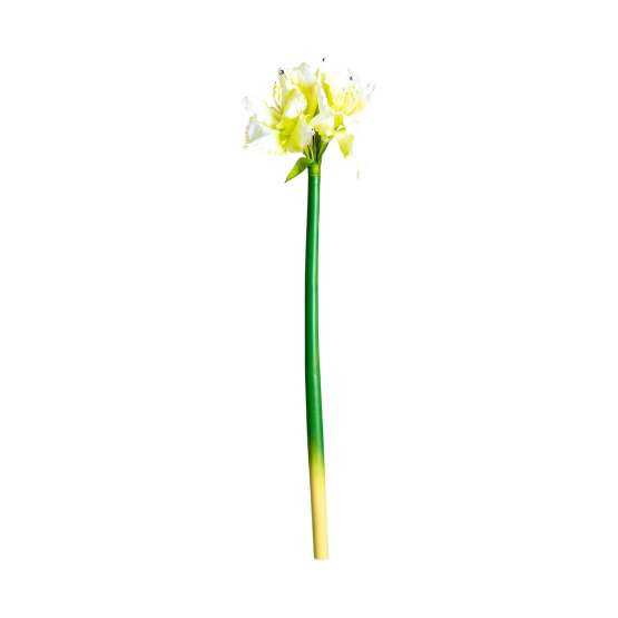 Цветок AMARYLLIS цвет белый — изображение 2