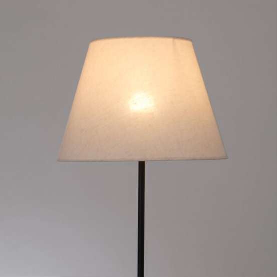 Торшер Arte Lamp ALEA A5068PN-1BK — изображение 2