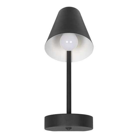 10216/1W Black Настенный светильник LOFT IT Shelf