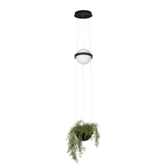 10121/B Подвесной светильник LOFT IT Jardin