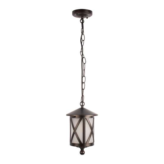 100016P Уличный подвесной светильник LOFT IT Ravenna