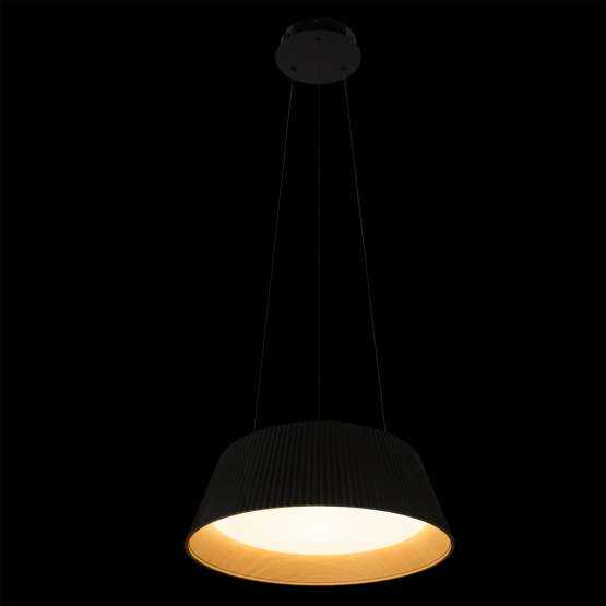 10224P Black Подвесной светильник LOFT IT Evans — изображение 2