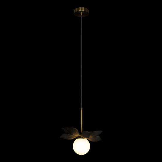 10213/B Black Подвесной светильник LOFT IT Monro — изображение 2