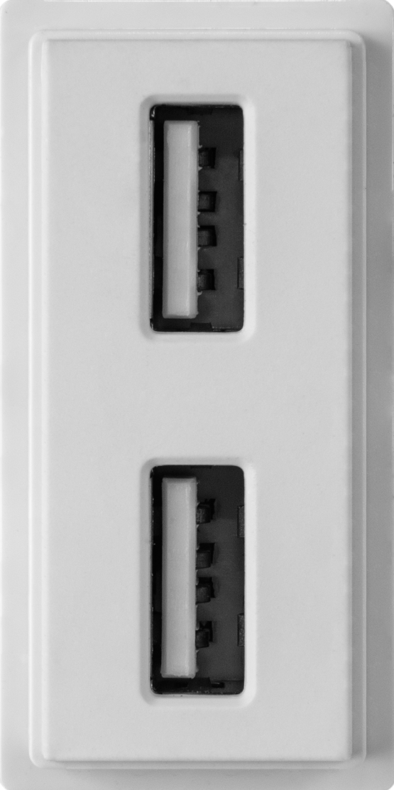 VG42933 Vanguard Valero Зарядное устройство USB Стандарты А-А 5V 2100мА 1 модуль, Белый