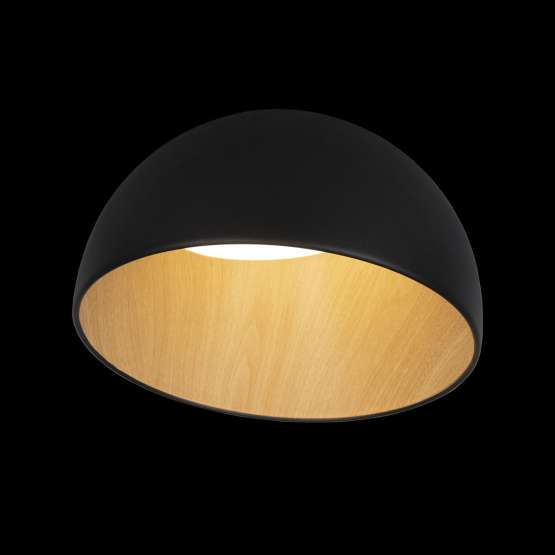 10197/350 Black Потолочный светильник LOFT IT Egg — изображение 2