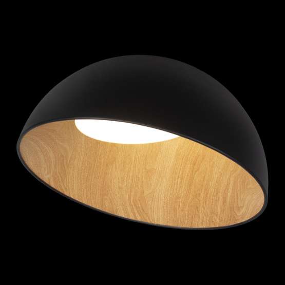10197/500 Black Потолочный светильник LOFT IT Egg — изображение 2