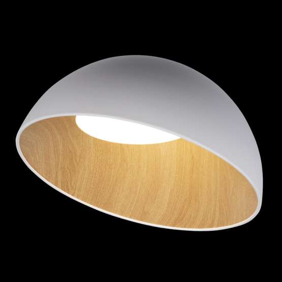 10197/500 White Потолочный светильник LOFT IT Egg — изображение 2