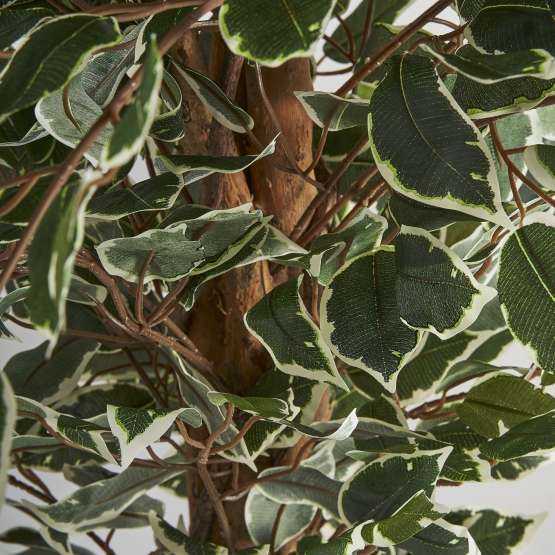 Искусственное растение FICUS — изображение 2