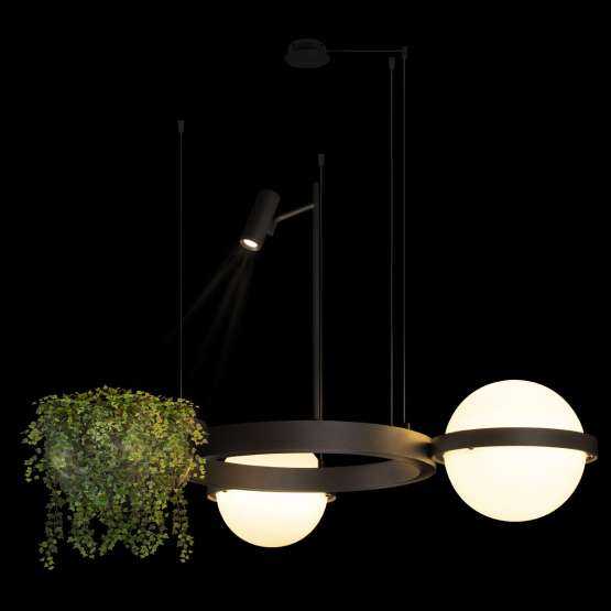 10121/2 Dark grey Подвесной светильник LOFT IT Jardin — изображение 2