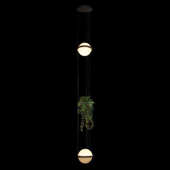 10121/2P Dark grey Подвесной светильник LOFT IT Jardin — изображение 2