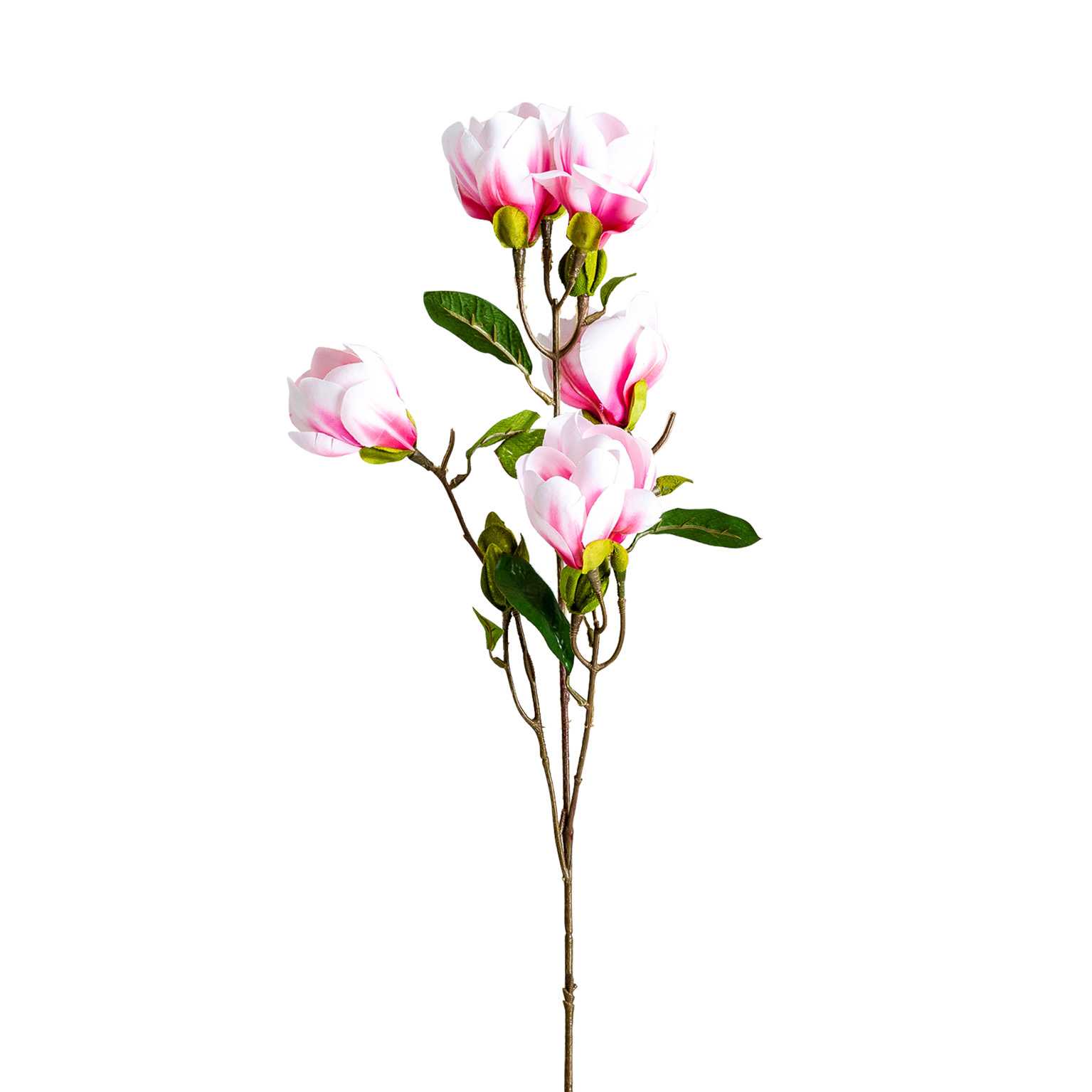 b395080f22b145898ef3946aa2518197