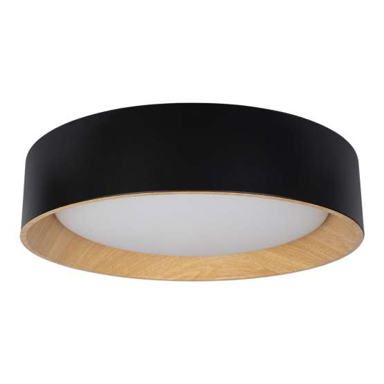 10202 Black Потолочный светильник LOFT IT Coin