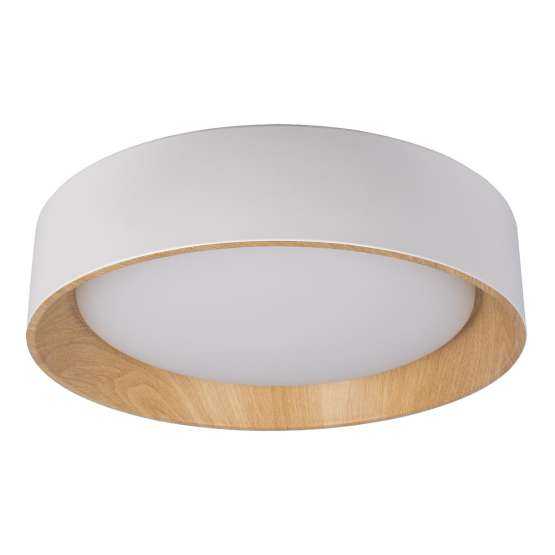10202 White Потолочный светильник LOFT IT Coin