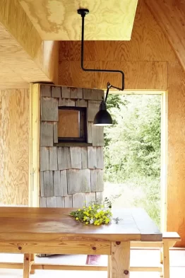 DCW editions Lampe Gras N°312 потолочный светильник